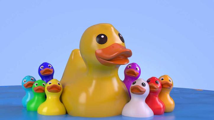 What Color Are Ducks? A Fun Quiz Game for Kids